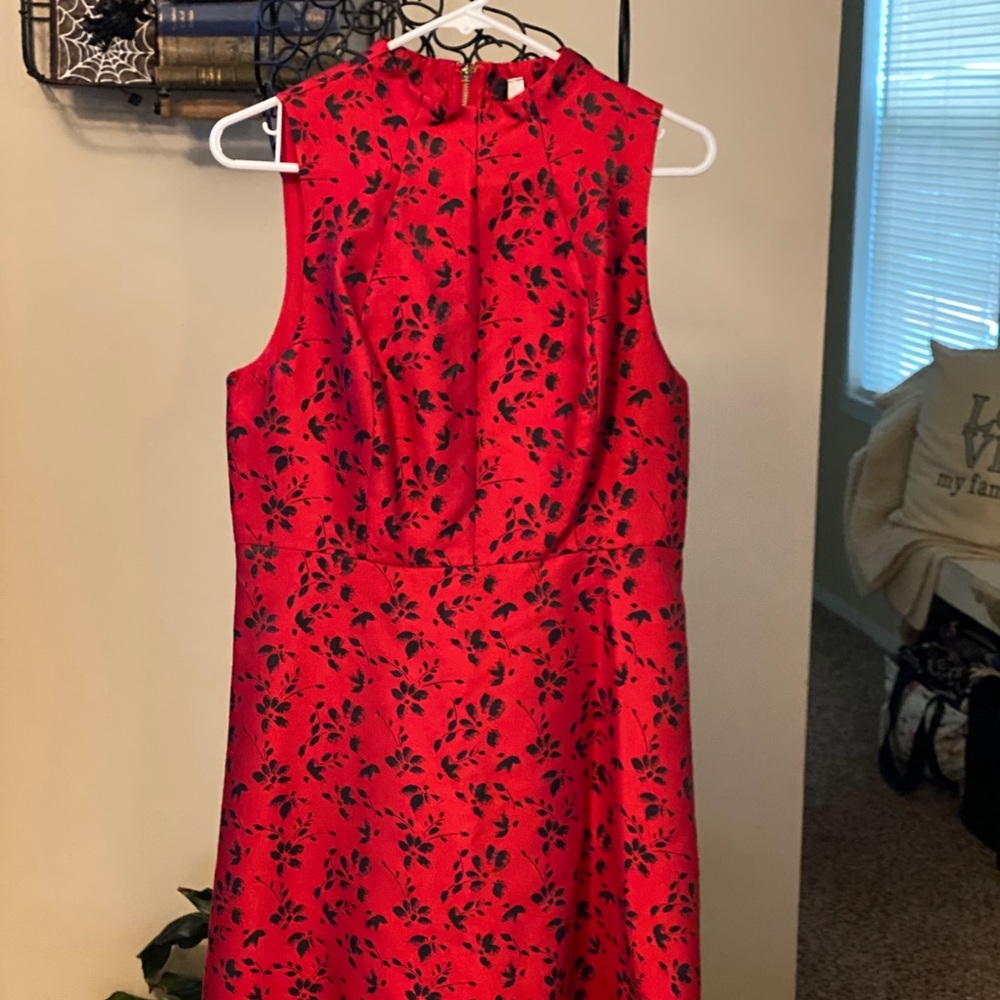 Red and Black dress